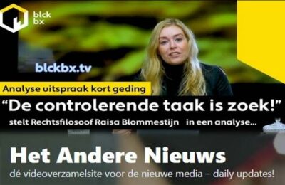 De controlerende taak is zoek! stelt Rechtsfilosoof Raisa Blommestijn in een analyse..