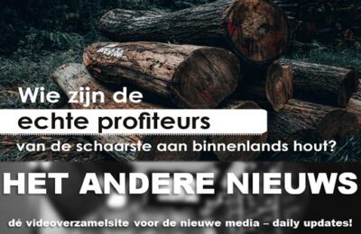 Wie zijn de echte profiteurs van de schaarste aan binnenlands hout?