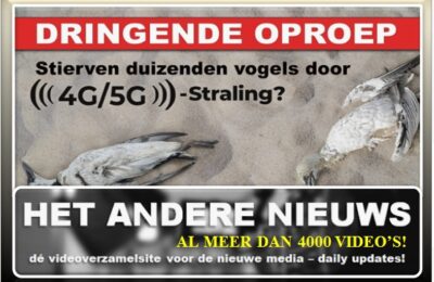 Dringende oproep: Zijn duizenden vogels gestorven door 4G/5G-straling?