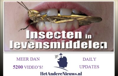 Het onsmakelijke dossier “insecten in voedsel” – Nederlands ondertiteld