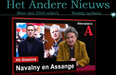 Navalny was een burgerrechtenactivist. Assange is de westerse Navalny