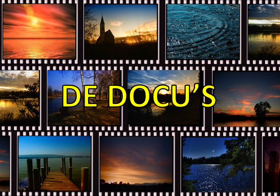 Diedert de Wagt: Bij gebrek aan beter – Het Andere Nieuws